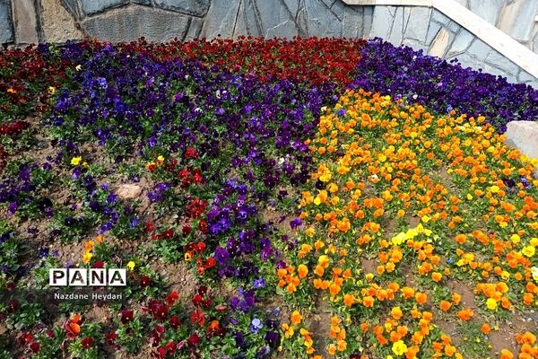 پل طبیعت، جاذبه گردشگری تهران