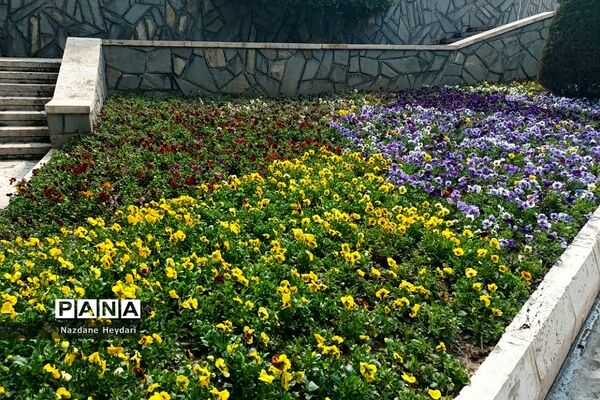 پل طبیعت، جاذبه گردشگری تهران