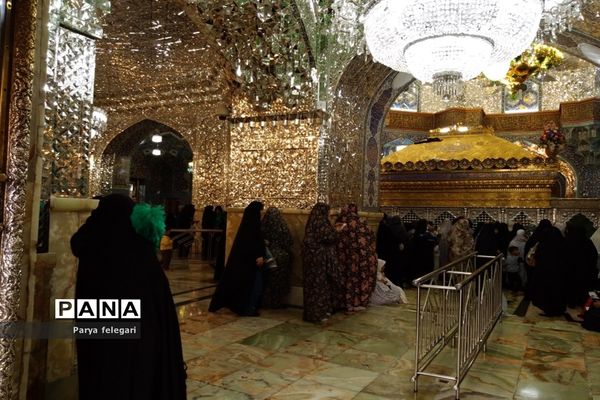 حال و هوای حرم مطهر حضرت معصومه (س)