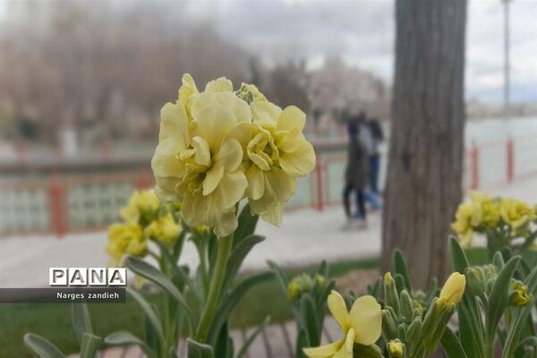 سفری به ملایر در نوروز
