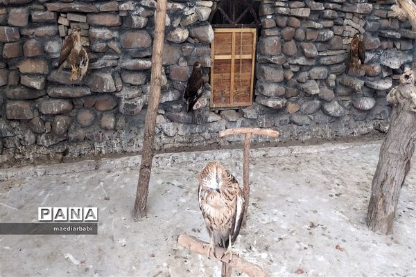 باغ پرندگان در تربت حیدریه