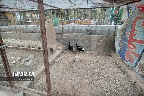 باغ پرندگان در تربت حیدریه