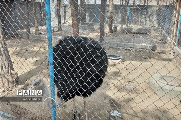 باغ پرندگان در تربت حیدریه