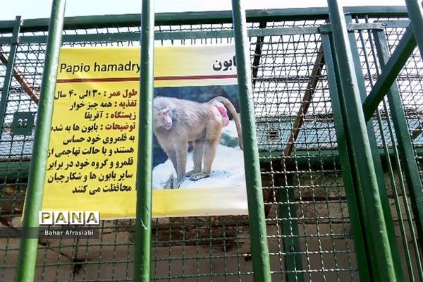 باغ وحش پارک جنگلی و کوهستانی وکیل آباد در استان خراسان رضوی