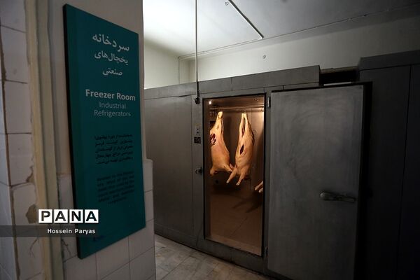 گردشگران نوروزی در مجموعه فرهنگی‌تاریخی سعدآباد