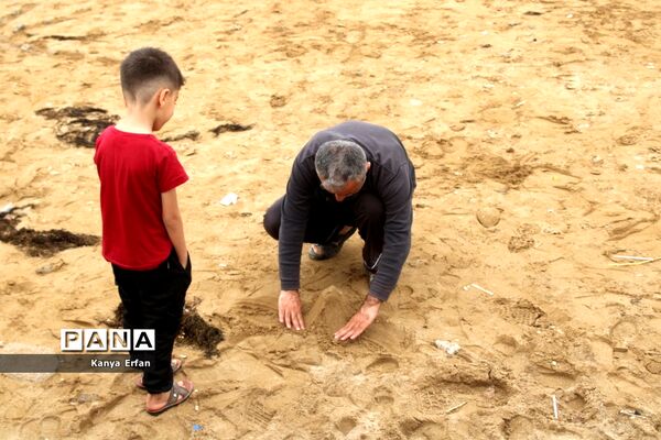 گردشگران نوروزی در ساحل بندر بوشهر