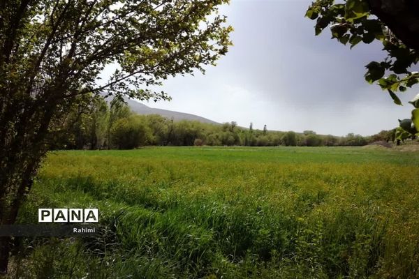 جاذبه های دیدنی شهرستان فریدن