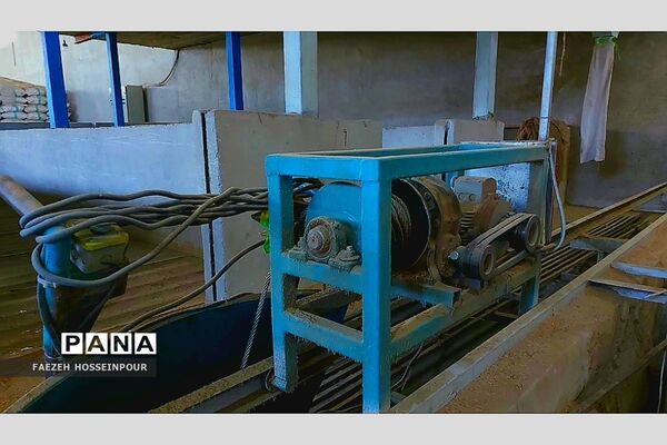 بازدید علمی از کارخانه برنج در شمال ایران