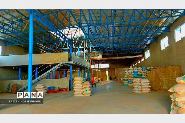 بازدید علمی از کارخانه برنج در شمال ایران