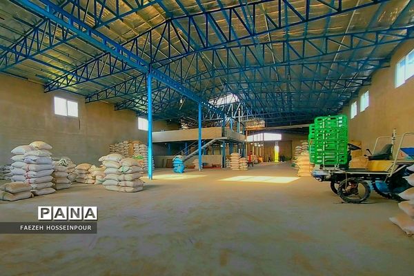 بازدید علمی از کارخانه برنج در شمال ایران