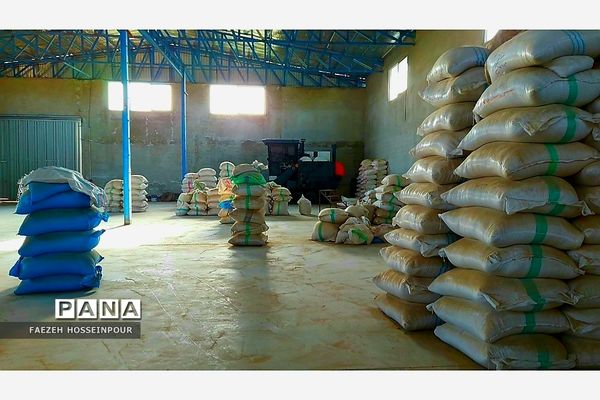 بازدید علمی از کارخانه برنج در شمال ایران