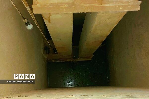 بازدید علمی از کارخانه برنج در شمال ایران