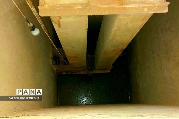 بازدید علمی از کارخانه برنج در شمال ایران