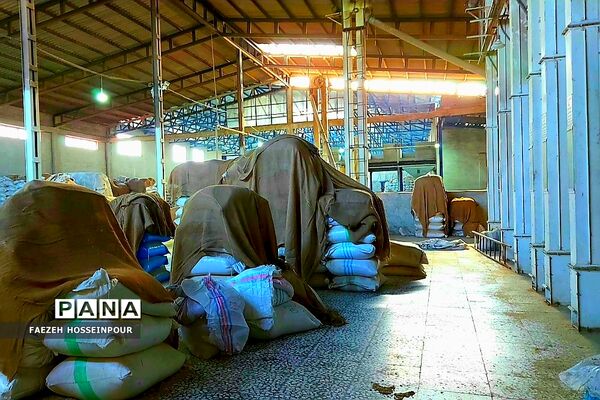 بازدید علمی از کارخانه برنج در شمال ایران