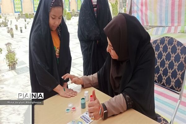 برگزاری پویش پرچم به مناسبت ۱۲ فروردین  در شهرستان پیشوا