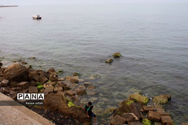 گردشگران نوروزی در ساحل بندر بوشهر