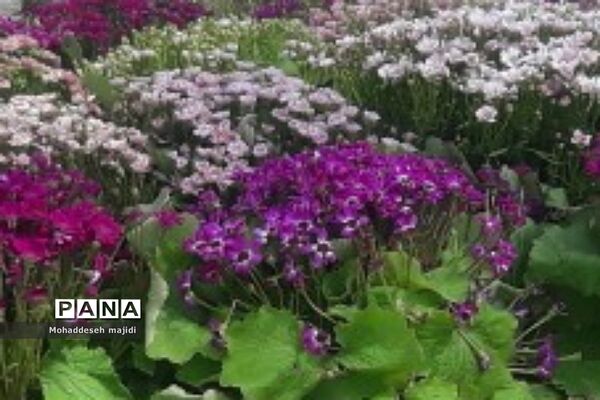حال و هوای طاقستان کرمانشاه در واپسین روزهای تعطیلات نوروزی