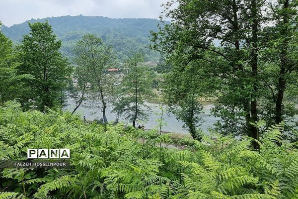 سد لفور در شهرستان  بابلسر