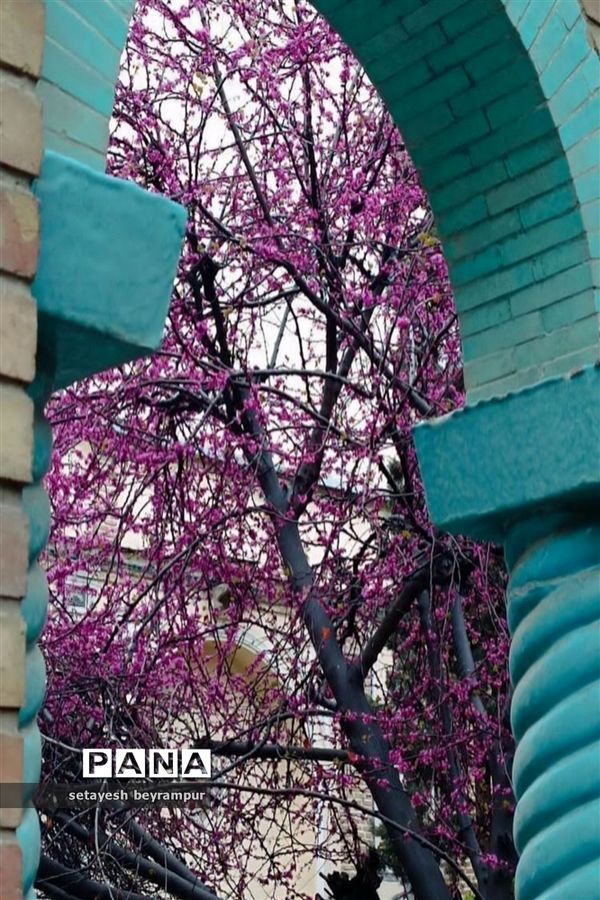 خانه موزه مقدم؛ عمارتی باشکوه به جامانده از تهران قدیم