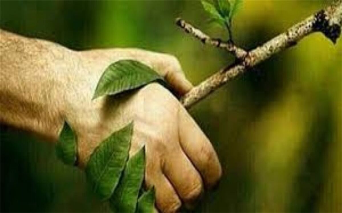محیط زیست نعمت بی‌کران خداوندی