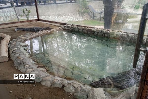 باغ وحش پارک ارم با ۱۱۰ گونه جانوری