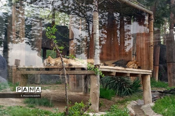 باغ وحش پارک ارم با ۱۱۰ گونه جانوری