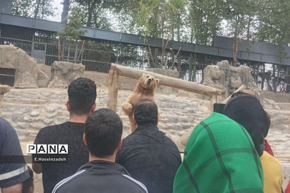باغ وحش پارک ارم با ۱۱۰ گونه جانوری
