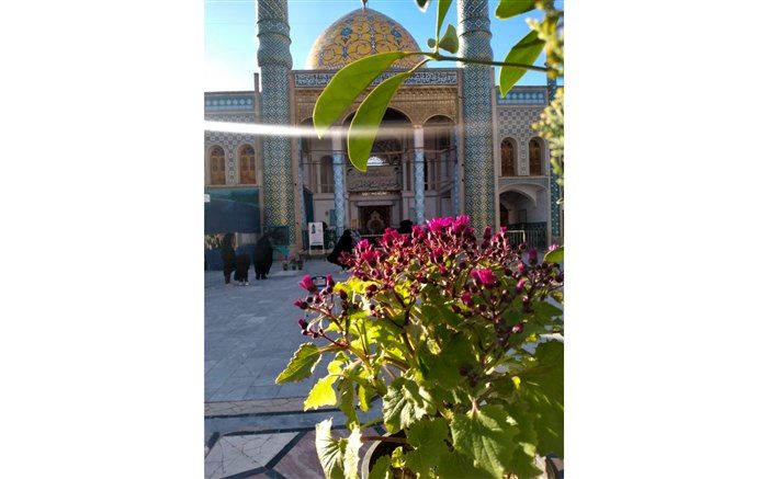 زیارتگاه مشهد اردهال؛ قطعه‌ای از «بهشت» در ایران /فیلم