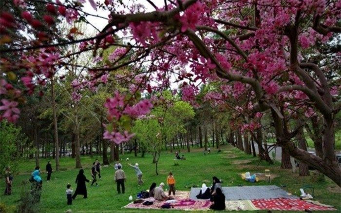 روز طبیعت، بهانه‌ای برای حضور دردامان طبیعت و ثبت لحظات شیرین و ماندگاردر کنار خانواده است