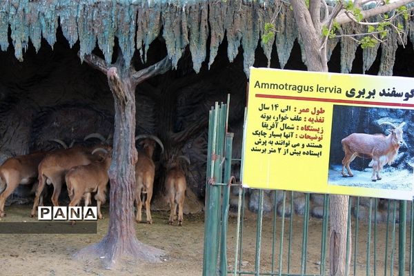 باغ وحش وکیل‌آباد مشهد