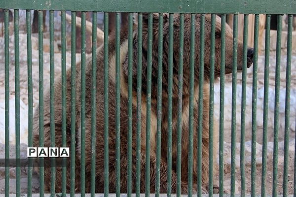 باغ وحش وکیل‌آباد مشهد