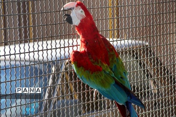 باغ وحش وکیل‌آباد مشهد