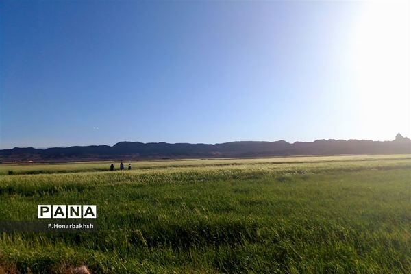 آستان مقدس امام‌زاده «علی رضی الدین» در قم