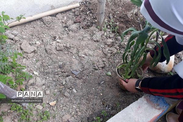 گلکاری حیاط مدرسه حضرت زهرا(س)۲ رودهن توسط دانش‌آموزان