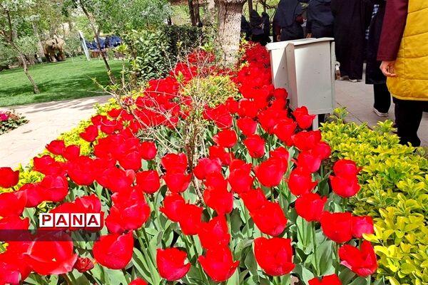 بازدید دانش‌آموزان دبیرستان سیزده آبان ناحیه یک کرج از جشنواره لاله ها