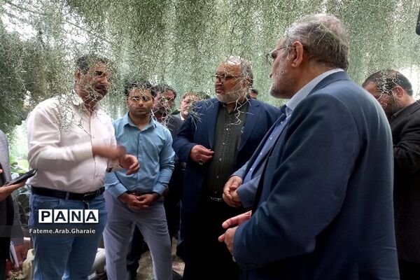 حضور معاون پارلمان رئیس‌جمهوری در پایتخت گل و گیاه ایران