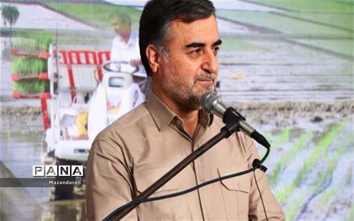 مخلوط کردن برنج‌ خارجی و داخلی خیانت به کشاورزان مازندران است