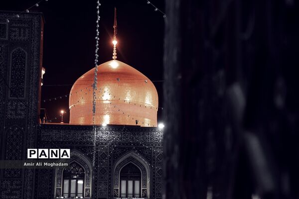 الهی به علی بن‌موسی...
