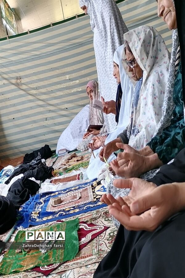 پشت پر چین بهشت