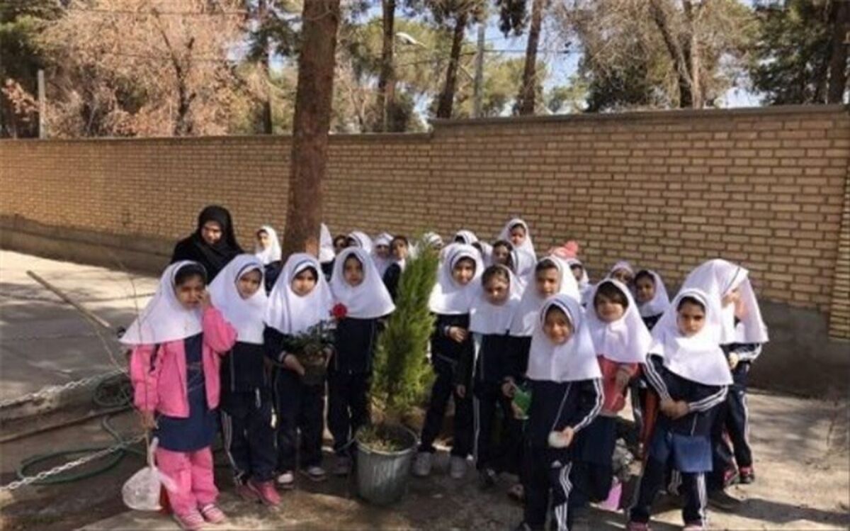 نتایج برگزیدگان مرحله کشوری اولین پویش ایران سرسبز، ایران قوی اعلام شد