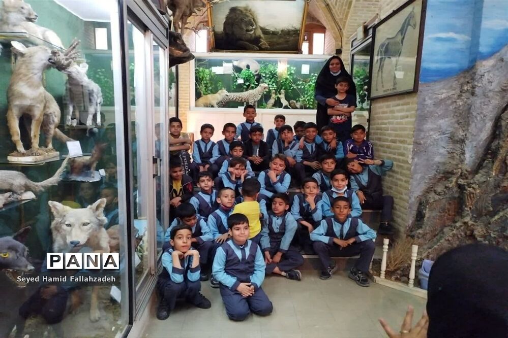 بازدید دانش‌آموزان دبستان قاسم(ع) ناحیه یک از موزه علوم طبیعی یزد