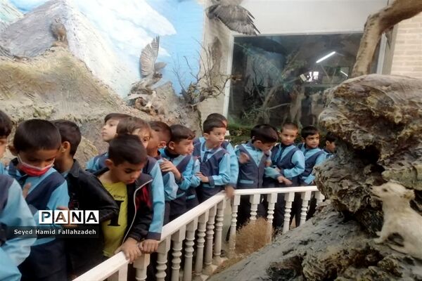 بازدید دانش‌آموزان دبستان قاسم(ع) ناحیه یک از موزه علوم طبیعی یزد