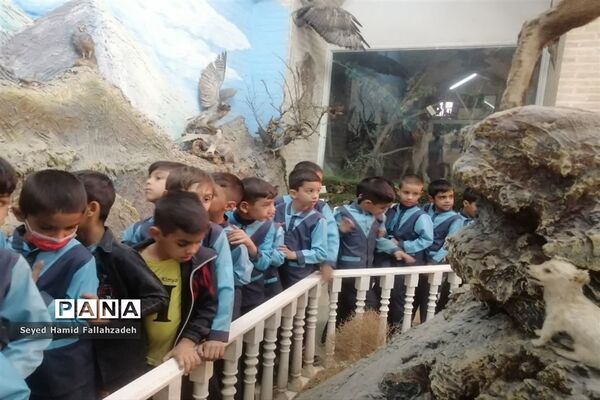 بازدید دانش‌آموزان دبستان قاسم(ع) ناحیه یک از موزه علوم طبیعی یزد