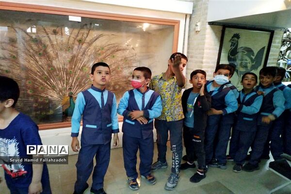 بازدید دانش‌آموزان دبستان قاسم(ع) ناحیه یک از موزه علوم طبیعی یزد