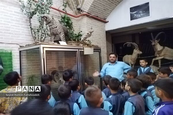 بازدید دانش‌آموزان دبستان قاسم(ع) ناحیه یک از موزه علوم طبیعی یزد