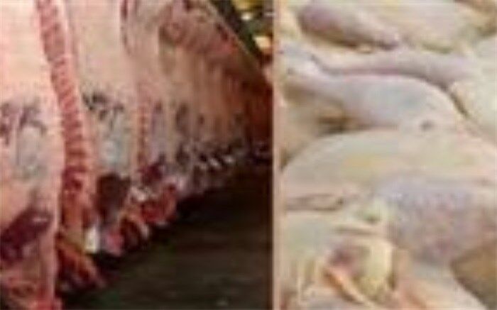 اعزام نمایندگان ویژه نظارت بر نحوه مدیریت توزیع گوشت و مرغ به سراسر کشور