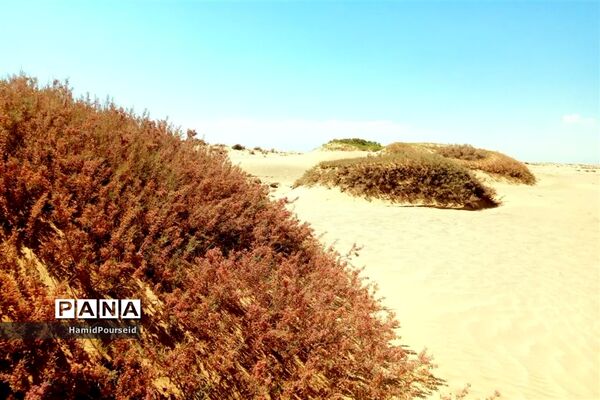 زیبایی‌های کویر و بیابان ابرکوه