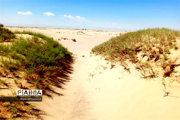 زیبایی‌های کویر و بیابان ابرکوه