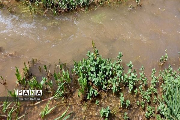 طبیعت زیبای روستای بارده، کرسنک