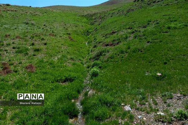 طبیعت زیبای روستای بارده، کرسنک